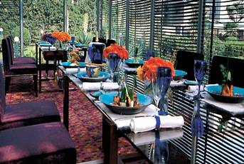 Restaurant Environment