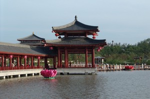 Tang Paradise