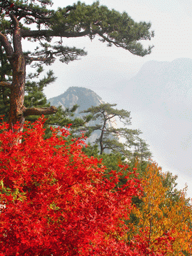 Mt. Huashan