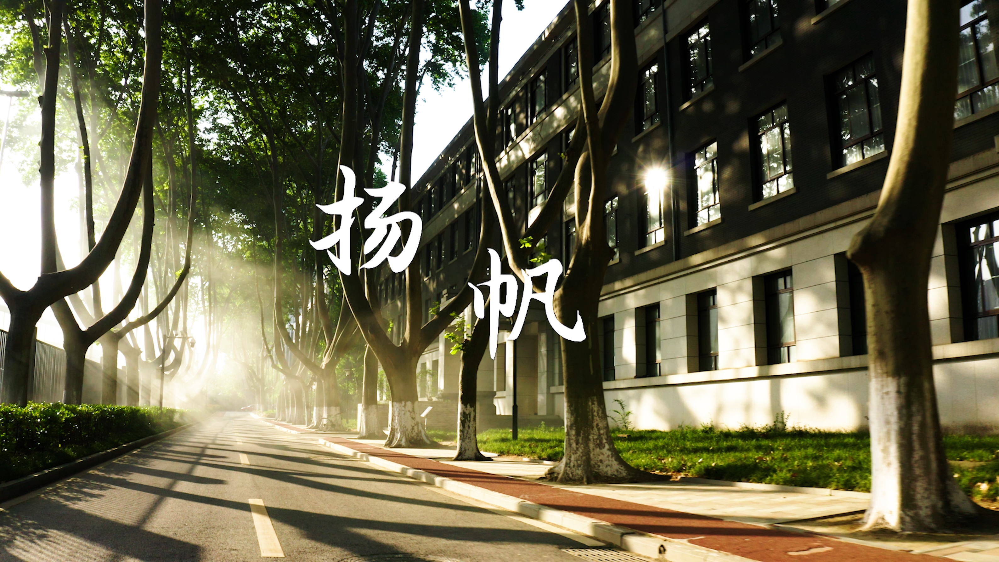 電院畢業季主題視頻：揚帆